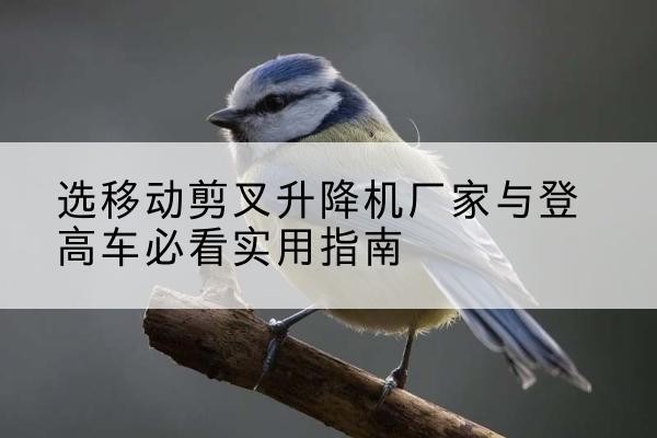 古城电动升降机厂家-选移动剪叉升降机厂家与登高车必看实用指南