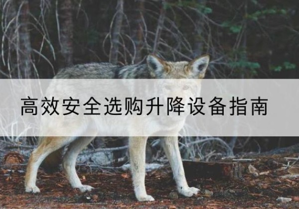 古城升降货梯厂家推荐-*安全选购升降设备指南